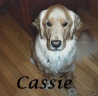 Cassie Fox. 2004-2015